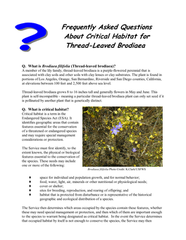 Frequently Asked Questions About Critical Habitat for Thread-Leaved Brodiaea