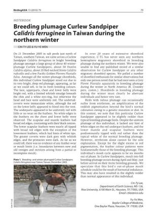 Breeding Plumage Curlew Sandpiper Calidris Ferruginea in Taiwan During the Northern Winter CIN-TY LEE & YU-YE WEN