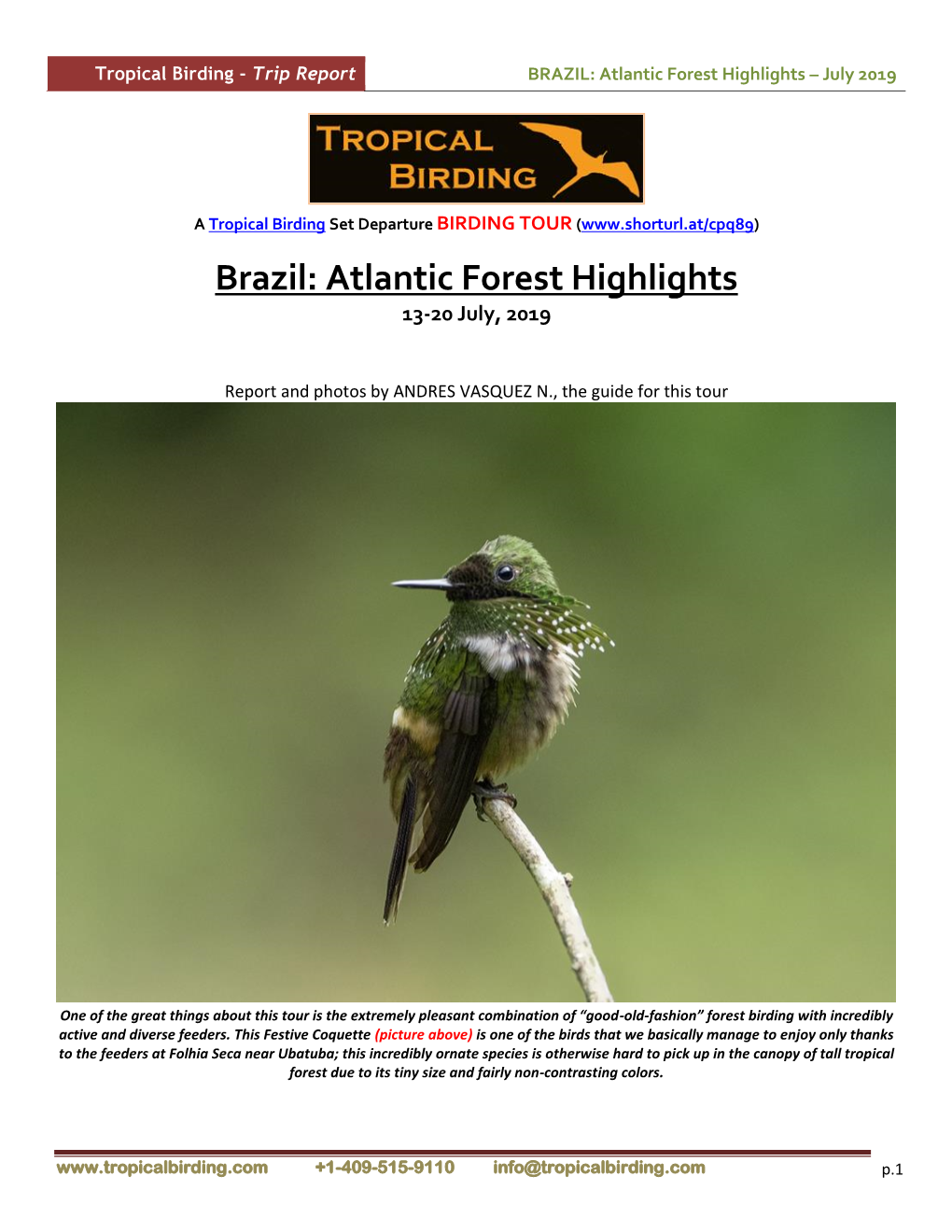 BRAZIL: Atlantic Forest Highlights – July 2019