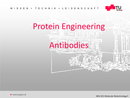 Protein Engineering Antibodies