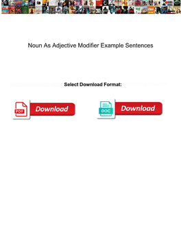 Noun As Adjective Modifier Example Sentences