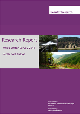 Wales National Visitor Survey 2016