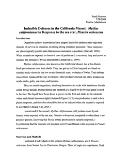 Inducible Defenses in the California Mussel, Mytilus Californianus in Response to the Sea Star, Pisaster Ochraceus
