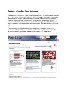 Pombase Anatomy of the Main Page