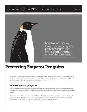 Protecting Emperor Penguins Fact Sheet