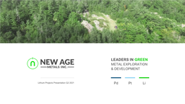 Leaders in Green Metal Exploration & Development