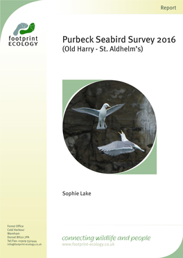 Purbeck-Seabird-Survey-2016.Pdf