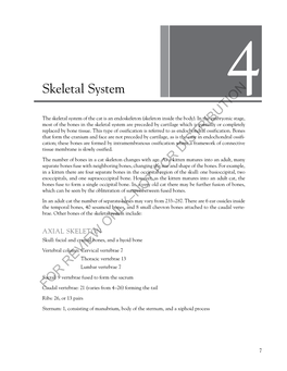 Skeletal System for REVIEW ONLY–NOT for DISTRIBUTION