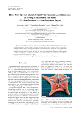 Three New Species of Dendrogaster (Crustacea: Ascothoracida) Infecting Goniasterid Sea-Stars (Echinodermata: Asteroidea) from Japan