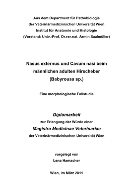 Nasus Externus Und Cavum Nasi Beim Männlichen Adulten Hirscheber (Babyrousa Sp.)