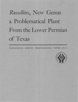 A Problematical Plant from the Lower Permian of Texas
