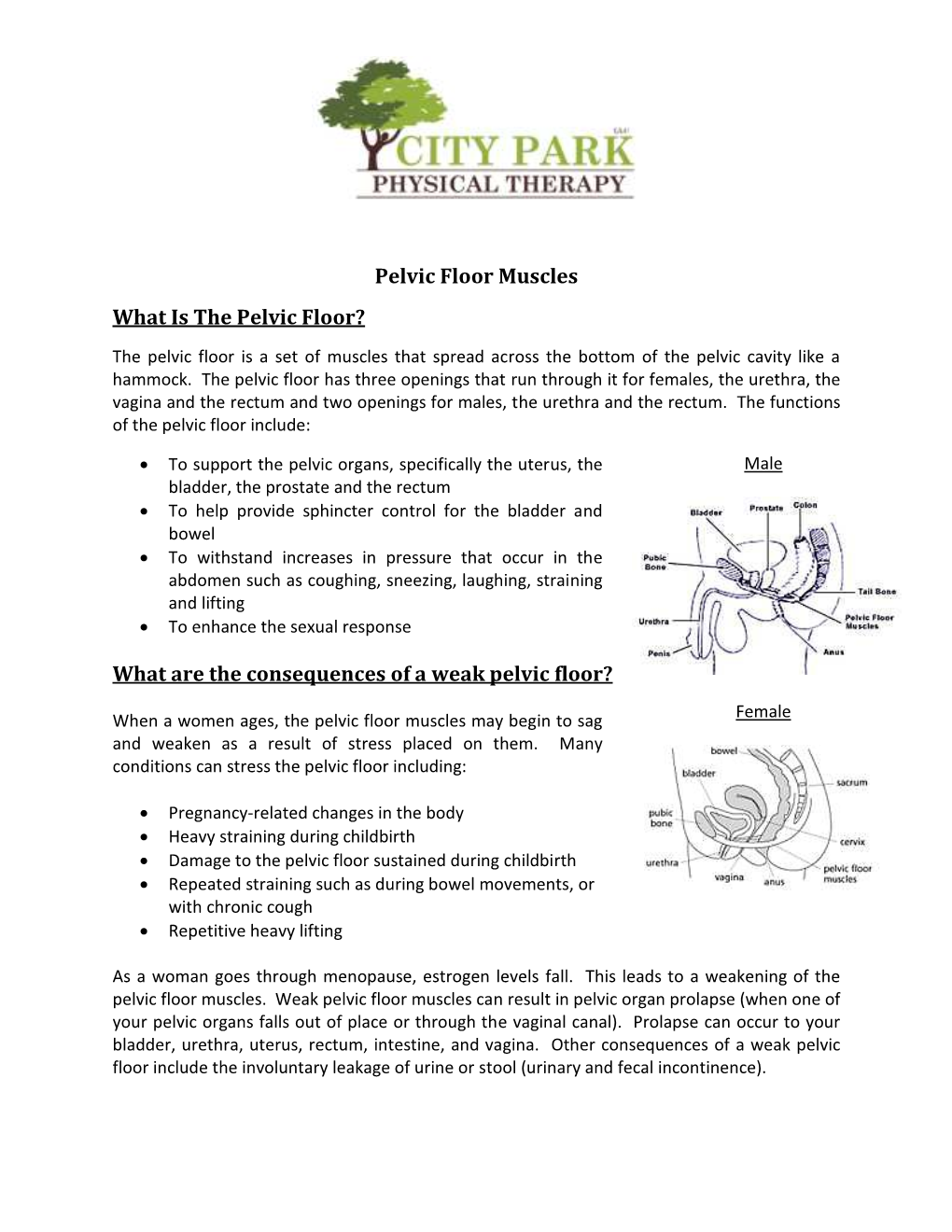 What Are the Consequences of a Weak Pelvic Floor?