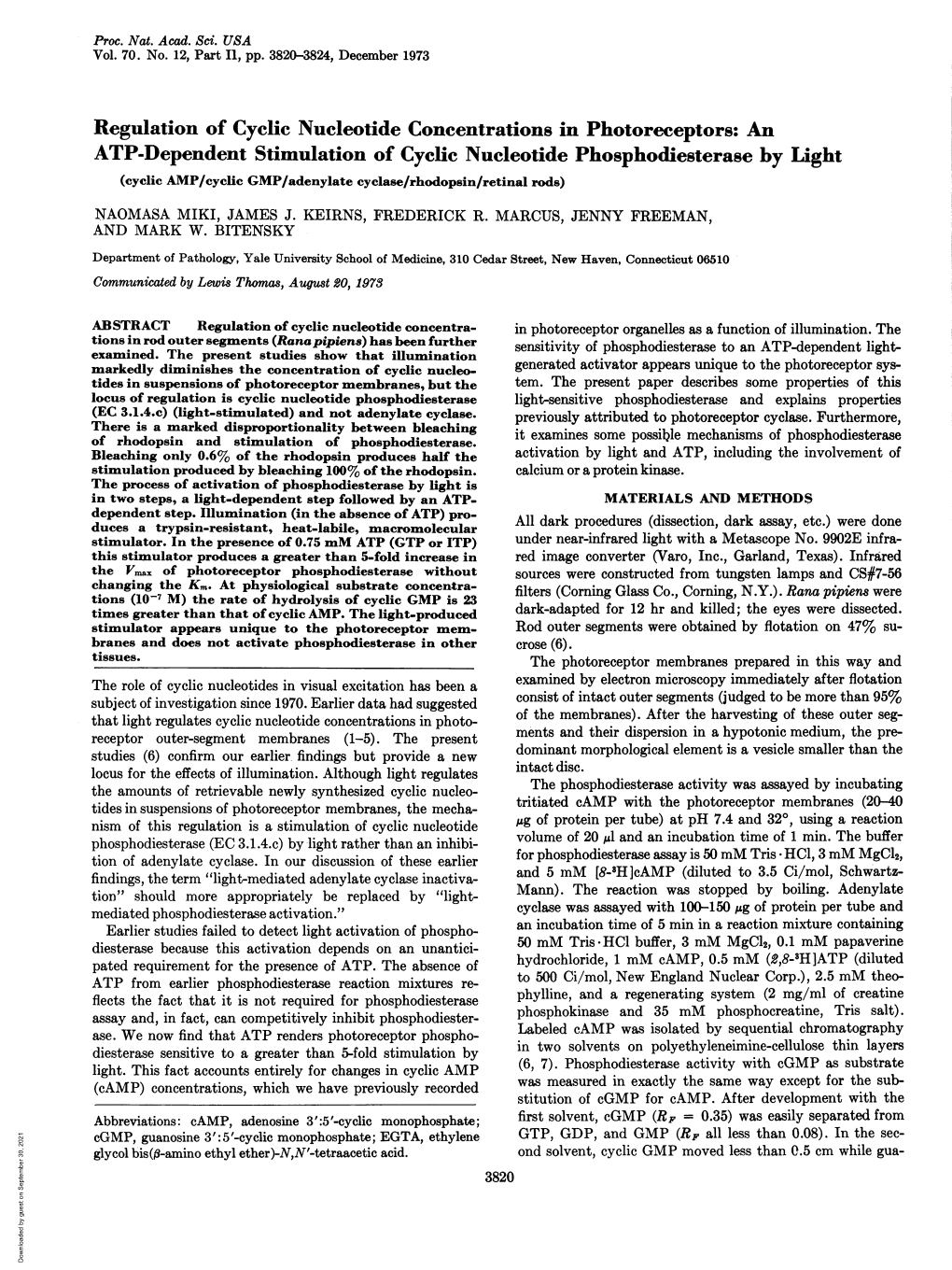 Regulation of Cyclic Nucleotide Concentrations in Photoreceptors