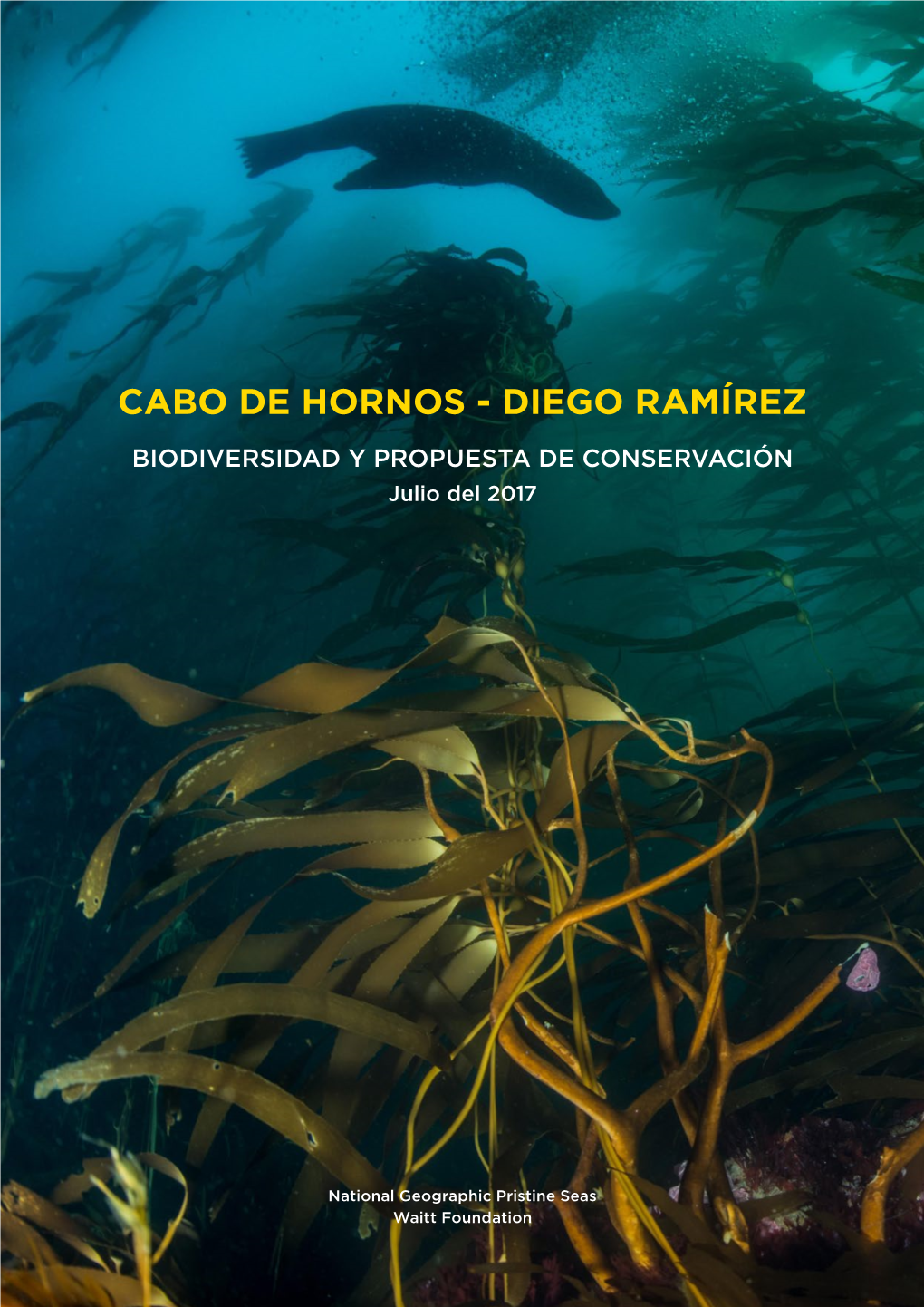 CABO DE HORNOS - DIEGO RAMÍREZ BIODIVERSIDAD Y PROPUESTA DE CONSERVACIÓN Julio Del 2017