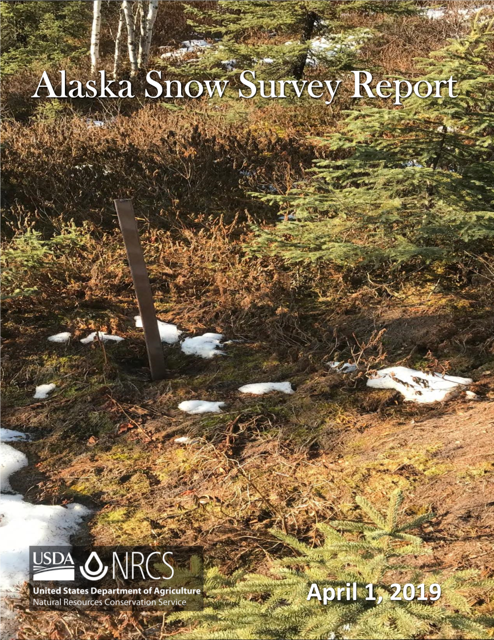 Alaska Snow Survey Report April 2019