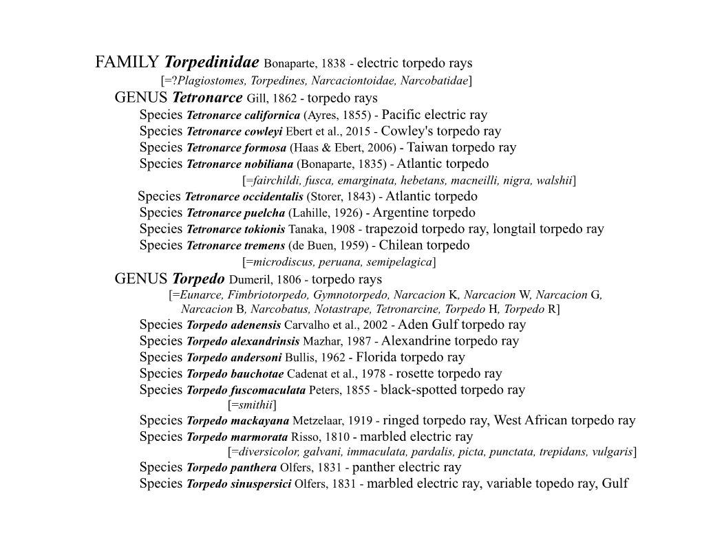 Torpedinidae