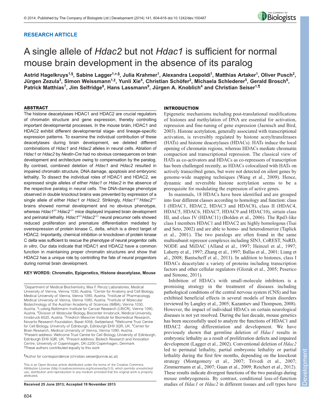 A Single Allele of Hdac2 but Not Hdac1 Is Sufficient for Normal Mouse Brain