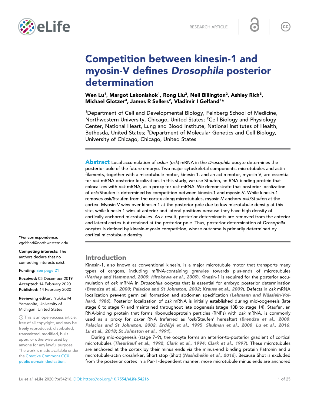 Competition Between Kinesin-1 and Myosin-V Defines Drosophila