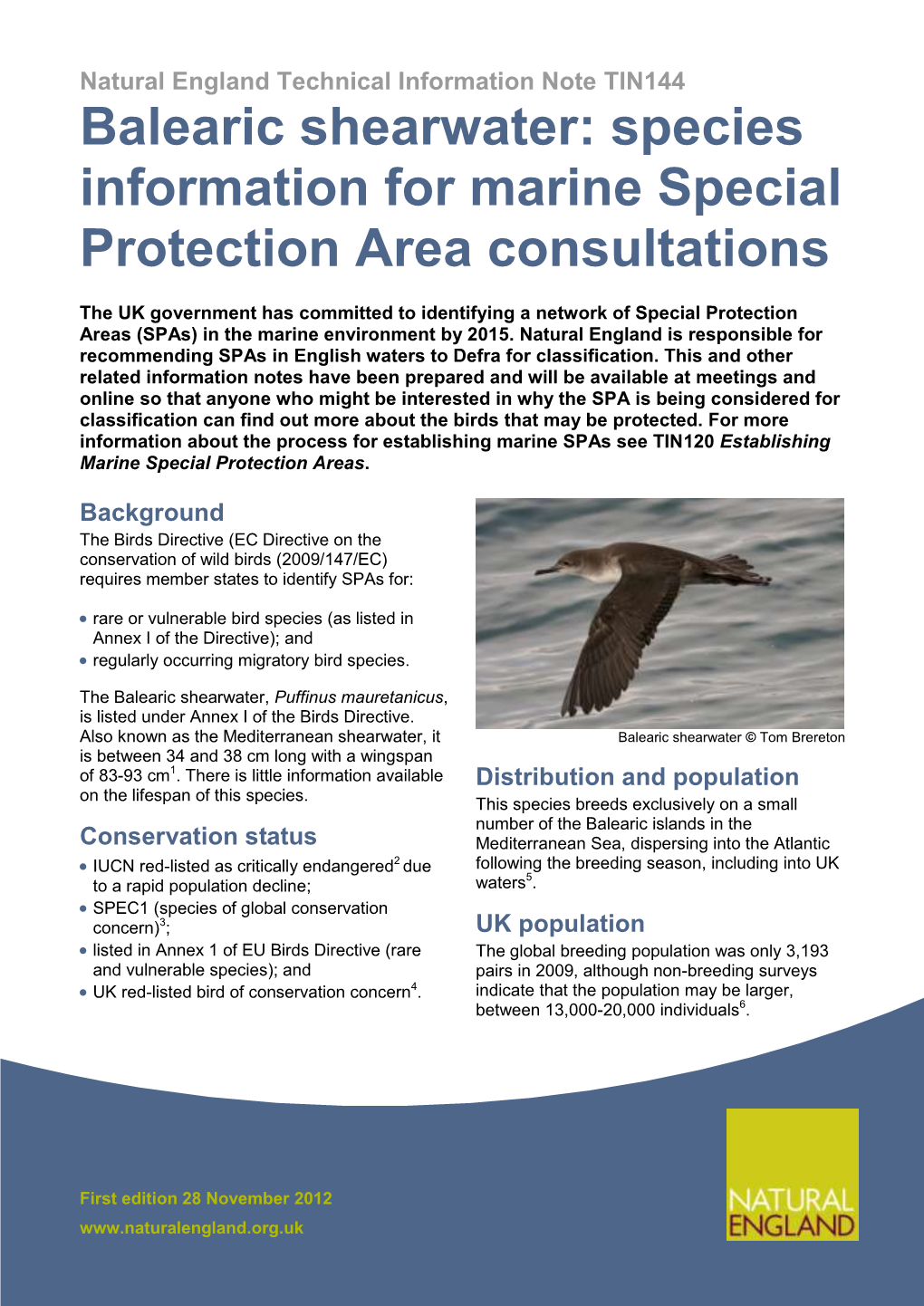 Balearic Shearwater: Species Information for Marine Special Protection Area Consultations