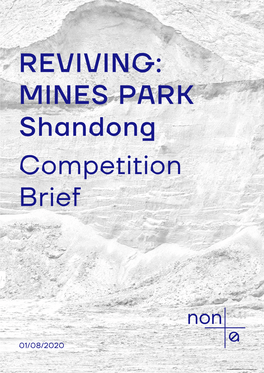 MINES PARK Shandong Competition Brief
