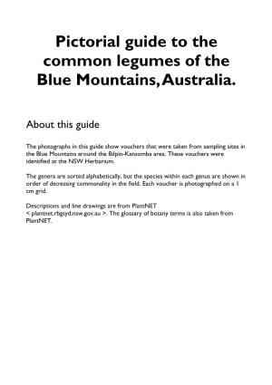 Pictorial Guide to the Common Legumes of the Blue Mountains, Australia