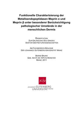 Und Meprin く Unter Besonderer Berücksichtigung Pathologischer Umstände in Der Menschlichen Dermis