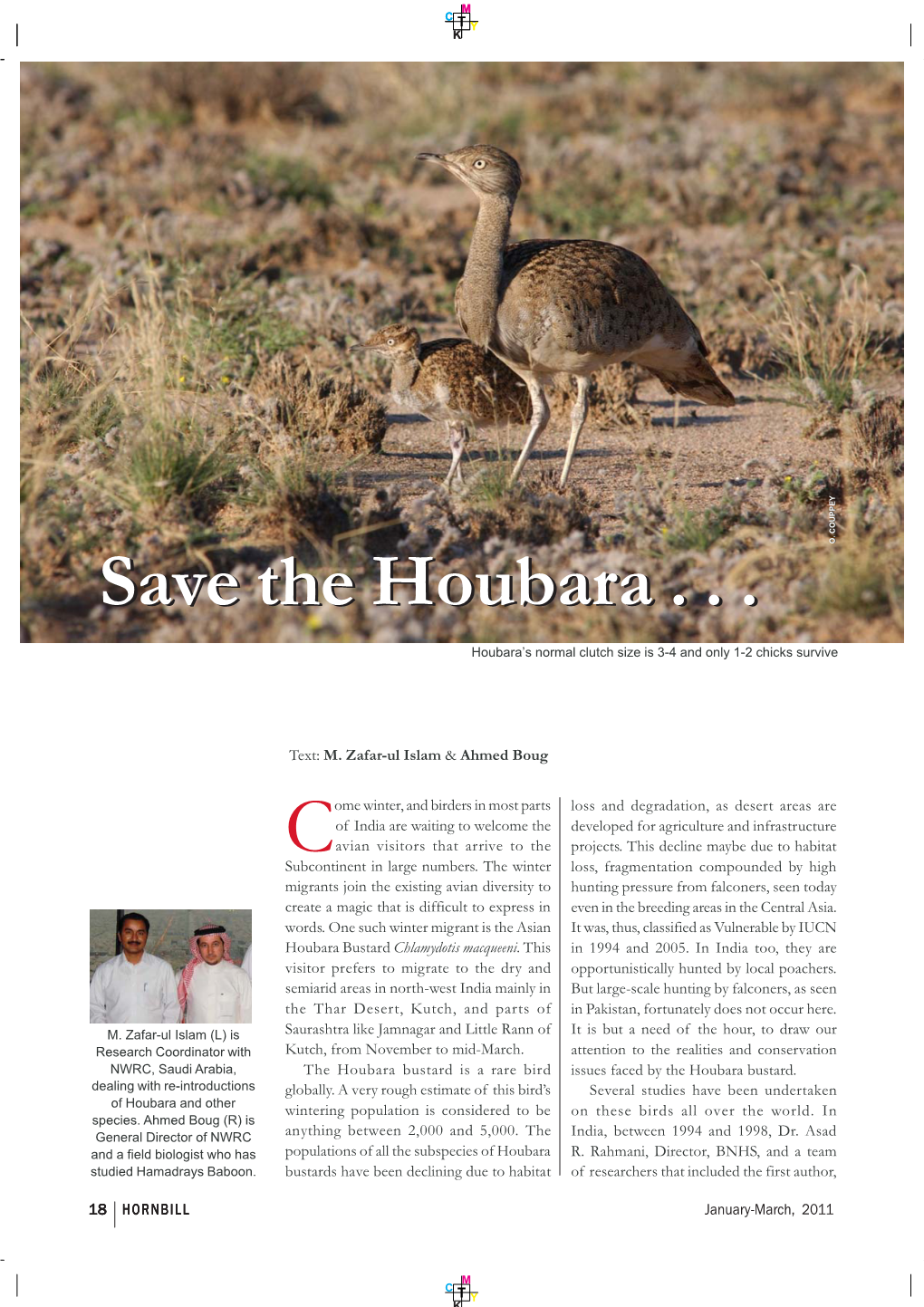 Save the Houbara