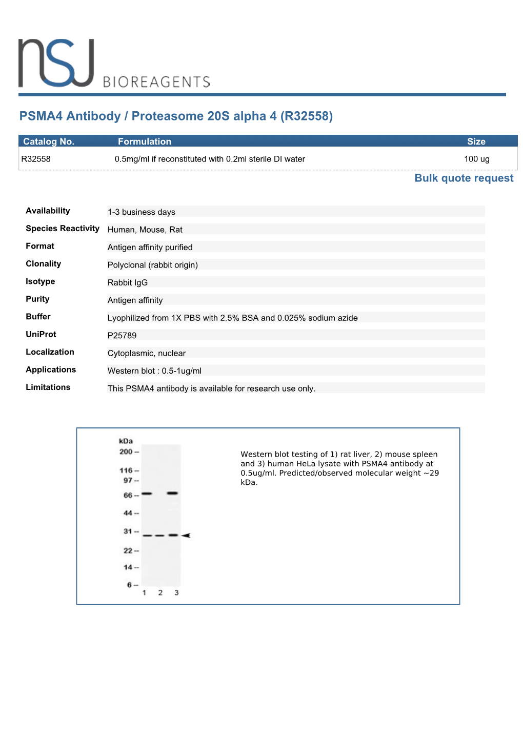 PSMA4 Antibody / Proteasome 20S Alpha 4 (R32558)