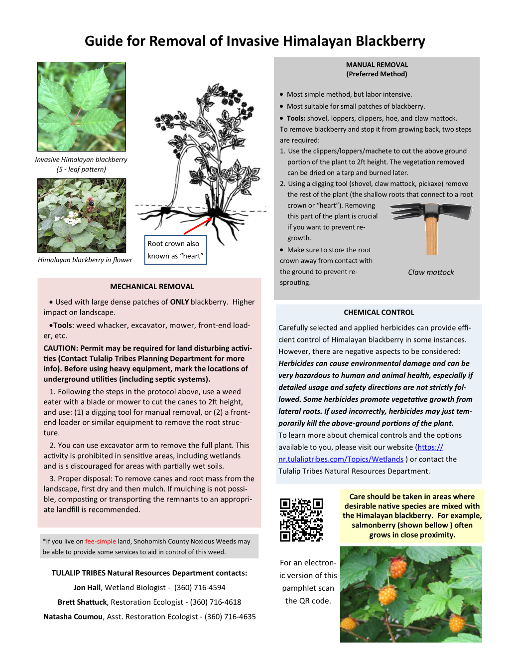 Guide for Removal of Invasive Himalayan Blackberry