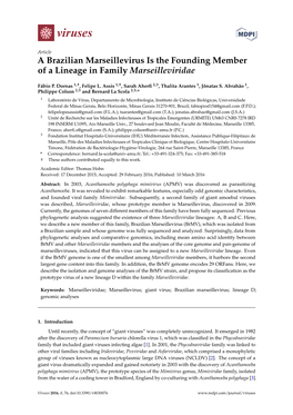 A Brazilian Marseillevirus Is the Founding Member of a Lineage in Family Marseilleviridae