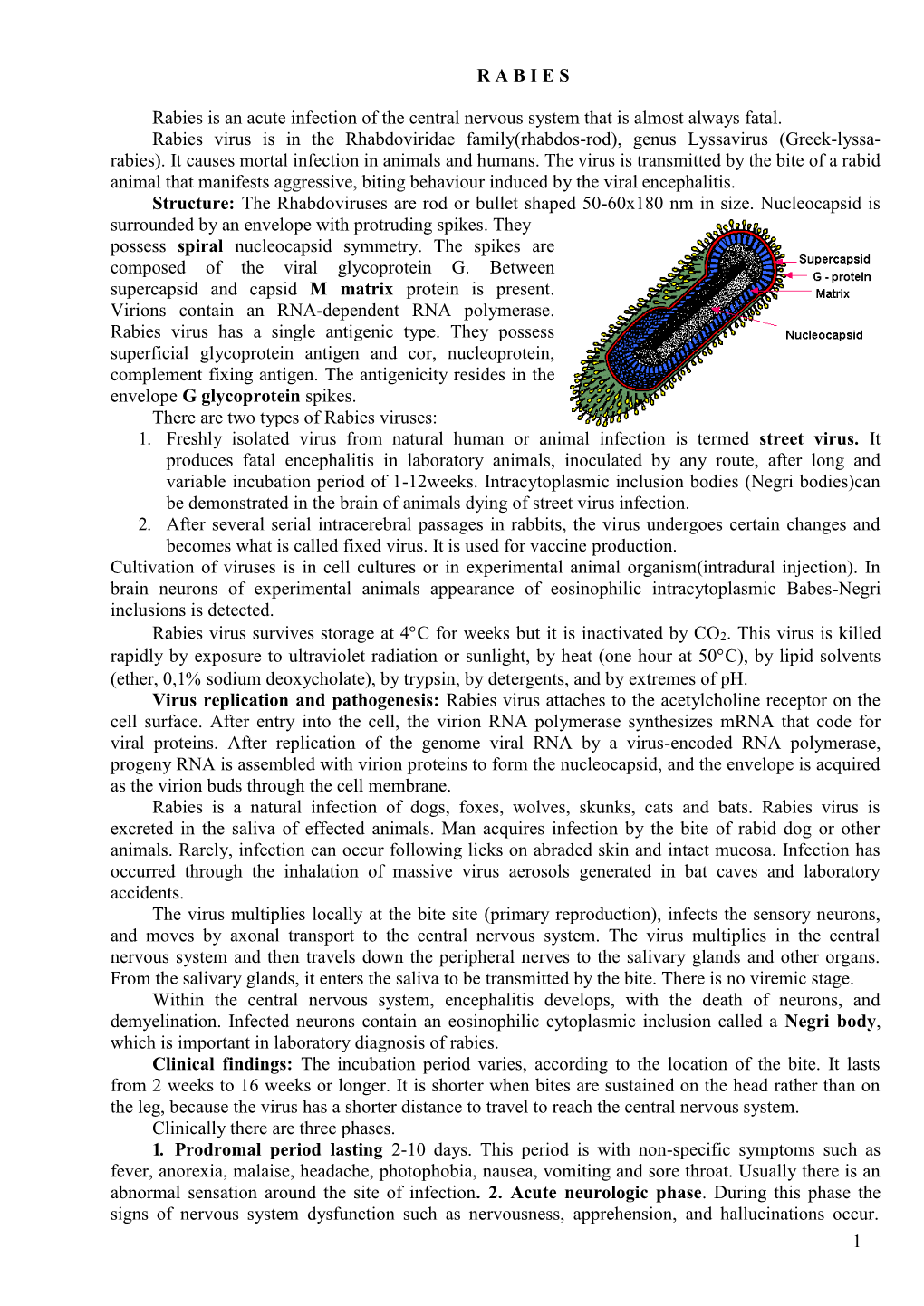 1 R a B I E S Rabies Is an Acute Infection of the Central Nervous