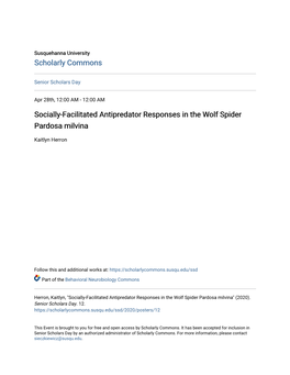 Socially-Facilitated Antipredator Responses in the Wolf Spider Pardosa Milvina