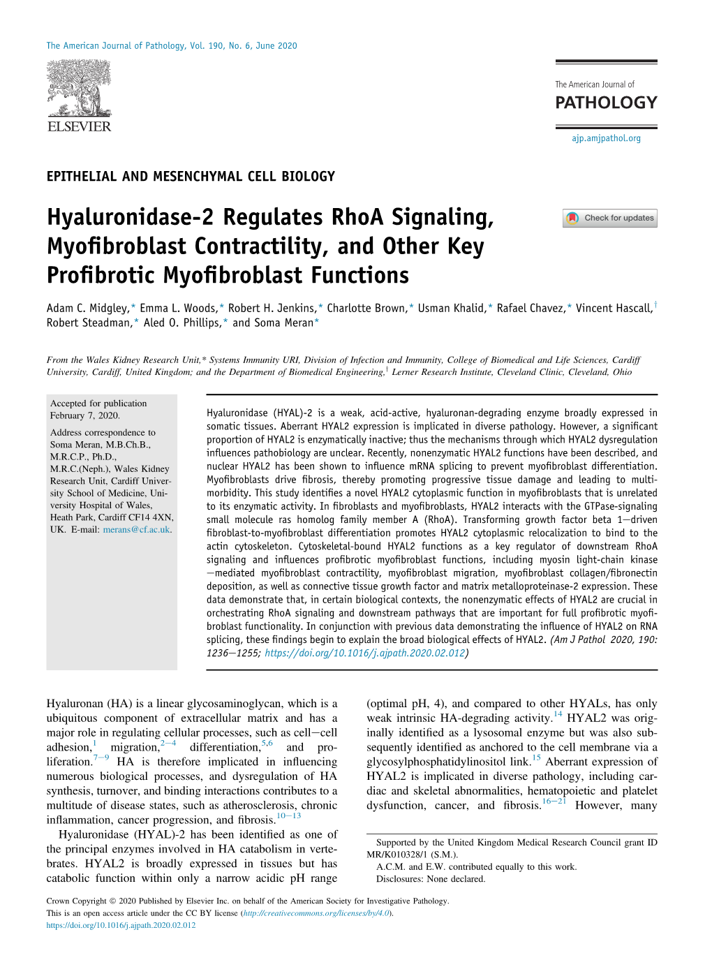 Hyaluronidase-2 Regulates Rhoa Signaling, Myofibroblast Contractility, and Other Key Profibrotic Myofibroblast Functions