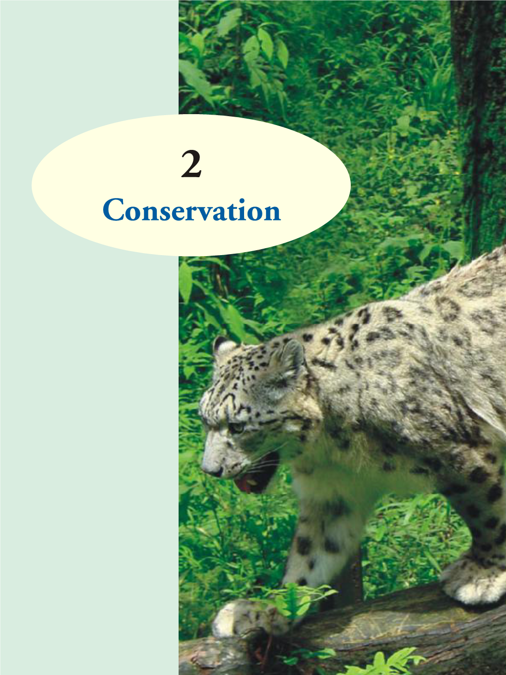 Conservation Annual Report 2006-2007