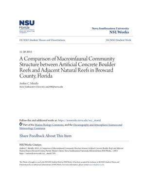 A Comparison of Macroinfaunal Community Structure Between Artificial Concrete Boulder Reefs and Adjacent Natural Reefs in Broward County, Florida Amber C
