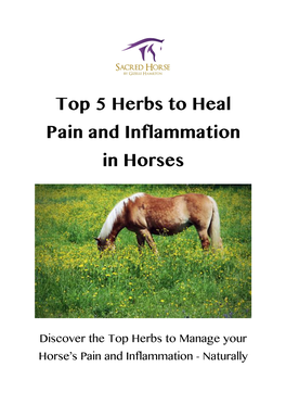 Top 5 Herbs to Heal Pain and Inflammation in Horses