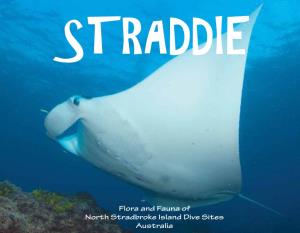 Flora and Fauna of North Stradbroke Island Dive Sites Australia and I Think to Myself, What a Wonderful World!