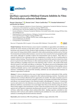 Quillaja Saponaria (Molina) Extracts Inhibits in Vitro Piscirickettsia Salmonis Infections