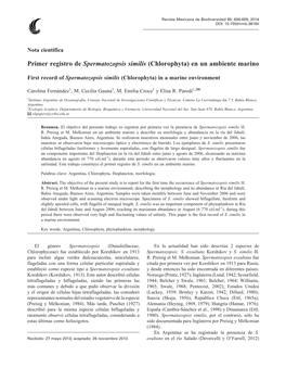 Primer Registro De Spermatozopsis Similis (Chlorophyta) En Un Ambiente Marino