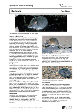 Rodents Fact Sheet