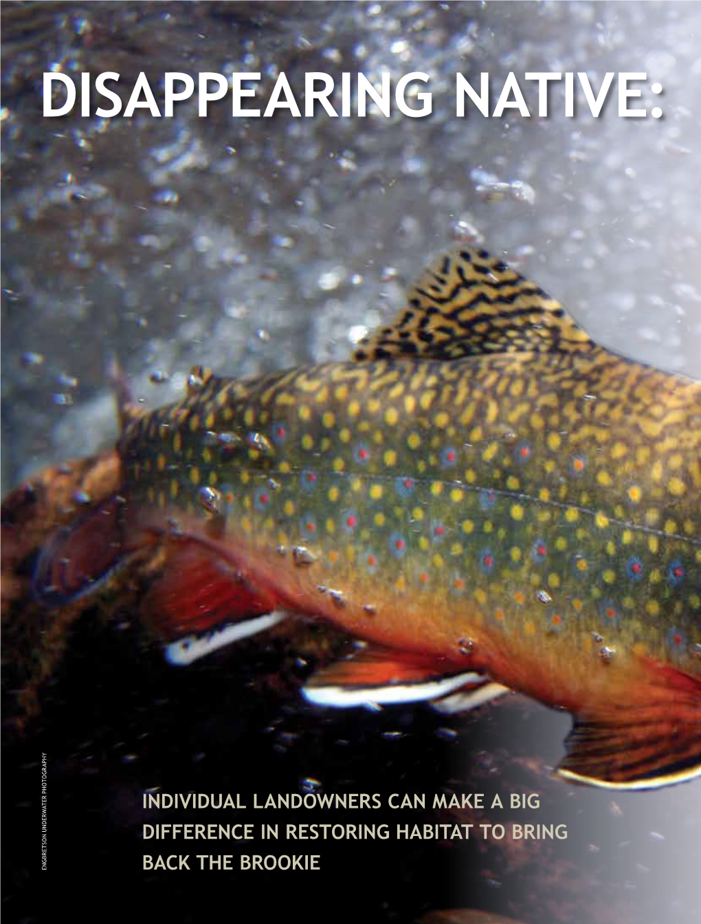 The Brook Trout by Bruce Ingram, Field Editor