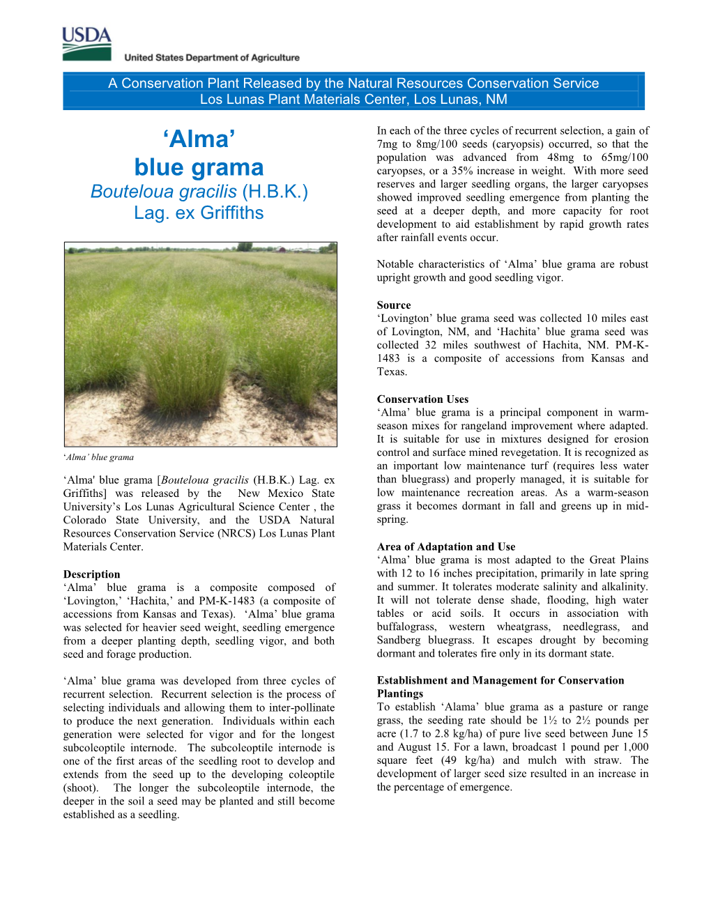 'Alma' Blue Grama, Bouteloua Gracillis (H.B.K.) Lag Ex Griffiths, Conservation Plant Release Brochure