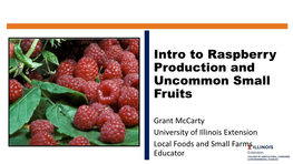 Intro to Raspberry Production and Uncommon Small Fruits
