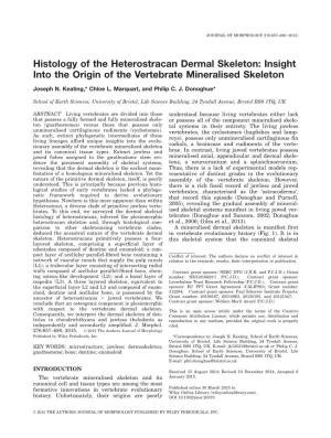 Histology of the Heterostracan Dermal Skeleton: Insight Into the Origin of the Vertebrate Mineralised Skeleton