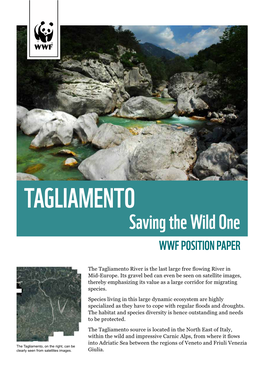 WWF Position Paper About Tagliamento