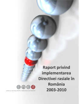Raport Privind Implementarea Directivei Rasiale În România 2003-2010