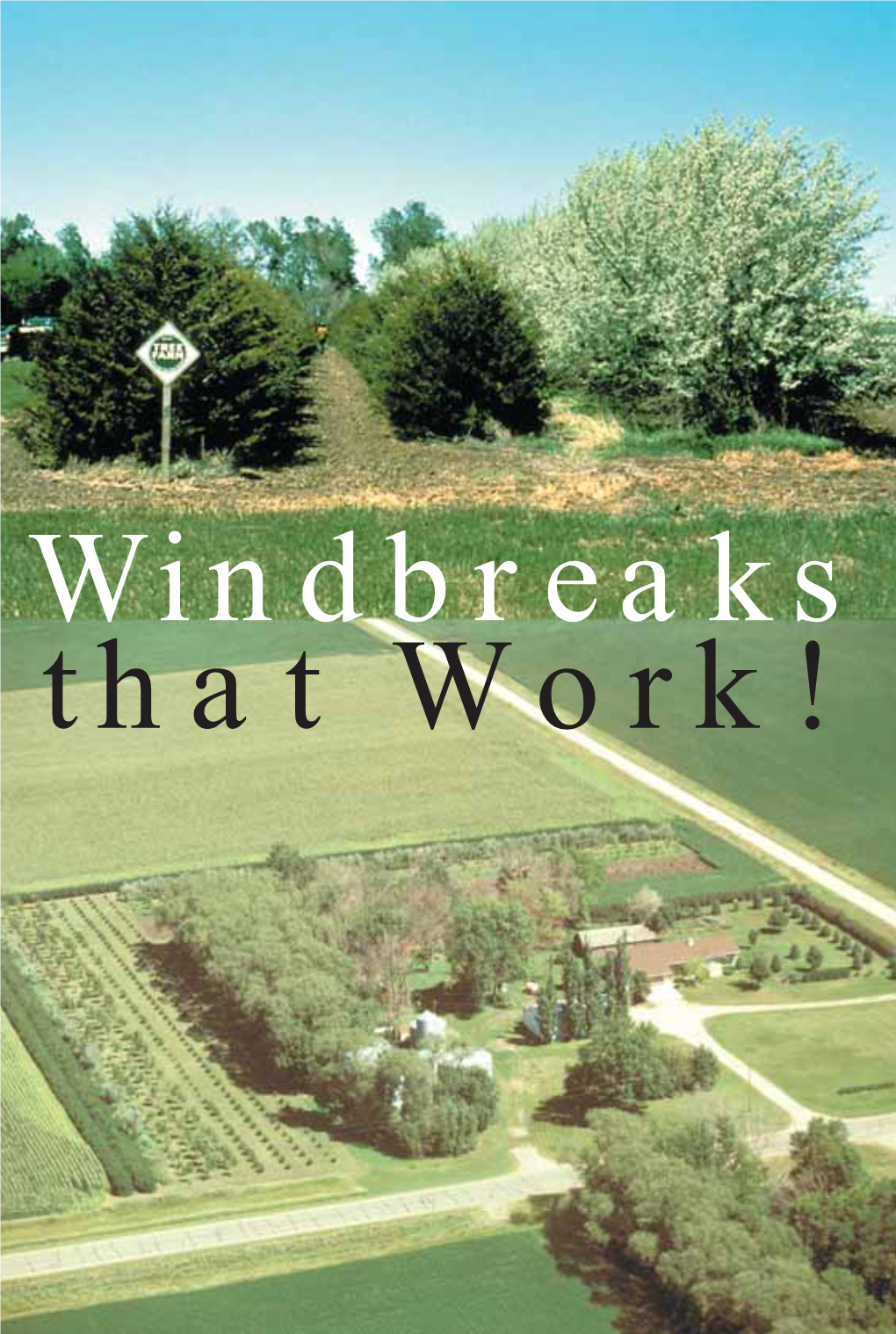 Windbreaks That Work!