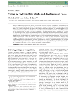 Timing by Rhythms: Daily Clocks and Developmental Rulers