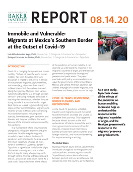 Immobile and Vulnerable: Migrants at Mexico's Southern Border at the Outset of Covid-19