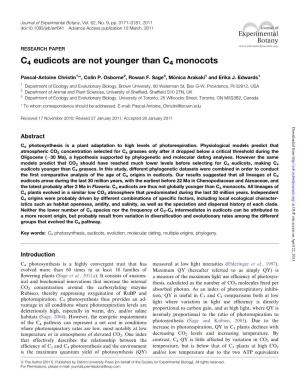 C4 Eudicots Are Not Younger Than C4 Monocots
